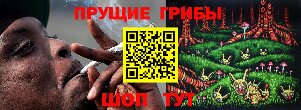 Псилоцибиновые грибы мицелий Нижний Новгород