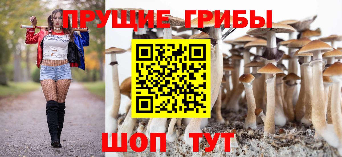 Нижний Новгород  Галлюциногенные грибы GOLDEN TEACHER  Вход с VPN 